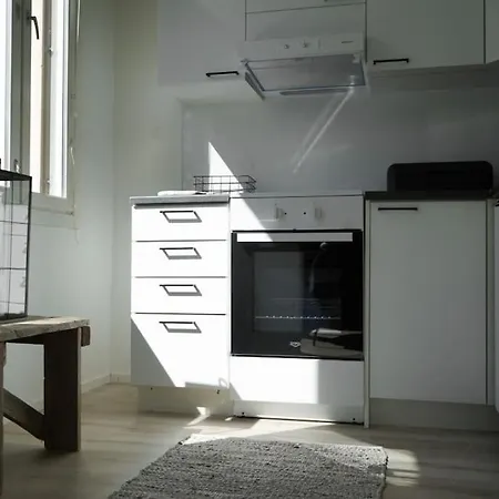 Tyylikaes Hyvin Varusteltu Asunto. Oma Autopaikka. * Salo (Salo)