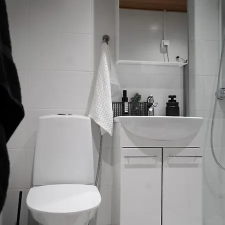 Tyylikaes Hyvin Varusteltu Asunto. Oma Autopaikka. * Salo (Salo)